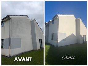 Le nettoyage écologique au service de vos surfaces