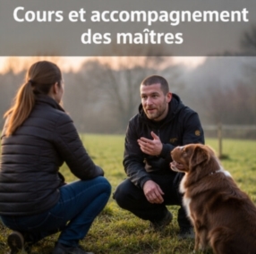 Cours et accompagnement des maîtres