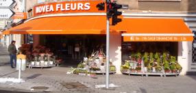 Novea Fleurs