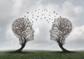 Séances en ligne ou en présentiel