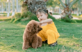 Quelle race de chien pour une famille avec jeunes enfants ?