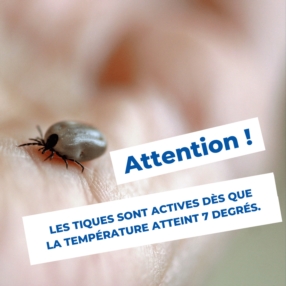 ⚠️ Attention aux tiques ! 🕷️ 🕷️ 🕷️ 