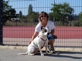 Promener un chien