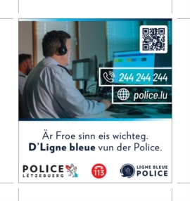 Ligne bleue (demande non urgente)