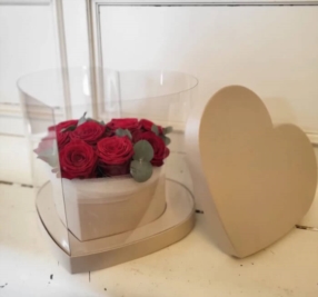 Flowerboxen