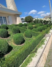 Entretien de jardins et espaces verts