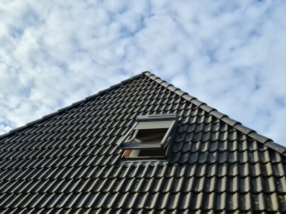 Entretien de toiture et Velux