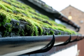 Nettoyage des Extérieurs