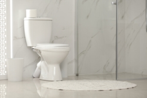 Changement de toilettes