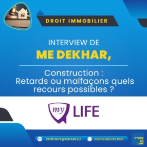 IMMOBILIER: RETARD, MALFACONS, VICE CAHES - VOS RECOURS