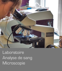 Laboratoire
