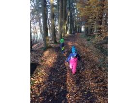 Sortie en forêt