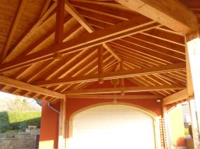 Carport Douglasie Beringen