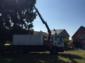 Abattage et Elagage d'arbres dangereux