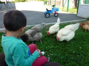 Rencontre avec la nature & les animaux
