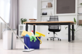 Nettoyage, entretien et petits travaux