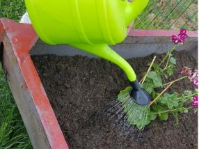 Jardinage