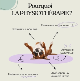 Pourquoi la physiothérapie ? 