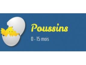 Poussins 0 - 15 mois