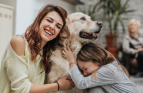 Une assurance santé pour son chien au Luxembourg ?