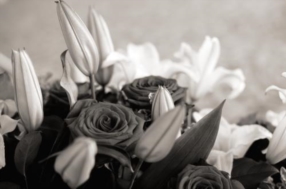 Organisation des funérailles 