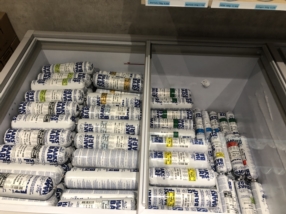 Nourriture pour chiens