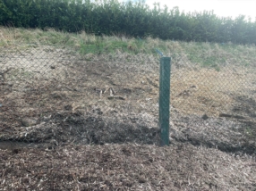 Réparation de clôture