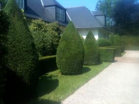 Création, aménagement de jardin