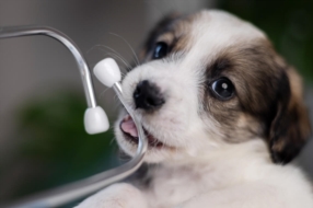 Médecine générale