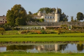 BARNES Vineyards Investment