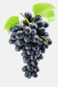 150 références de vins à la carte