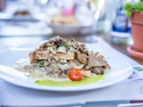 Cuisine & Gastronomie