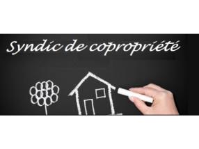 Syndic