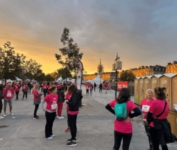 Article de WC Loc Lux SARL