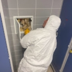 Article de Noxious Luxembourg