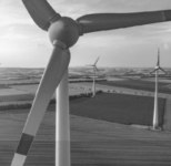 Article fromMC Luxembourg