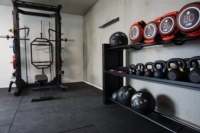 Artikel vonKnoll Ilona