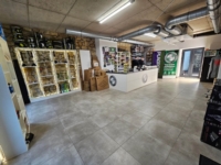 Article de Popeye's Passion