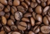 Artikel vonKnopes Artisan Torrefacteur