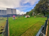 Artikel vu Crèche Les Joyeux Nains