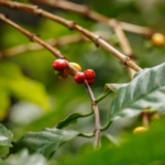 Article de Novadelta Luxembourg Sàrl