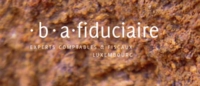 Article fromB.A. Fiduciaire Sàrl