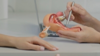 Artikel vu Duschinger Pit (Dr)
